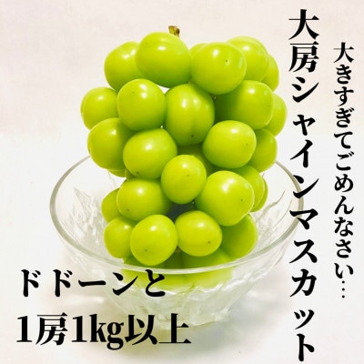 【!ビックリ!】大房シャインマスカット【1房1kg以上】