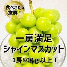 一房満足!大きなシャインマスカット 1房800g以上