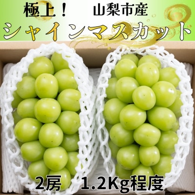 極上!農福連携シャインマスカット2房(2房1.2kg程度) 山梨市ふるさと納税