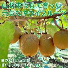 山梨市牧丘産 キウイフルーツ(栽培期間中、農薬不使用) 1kg程度