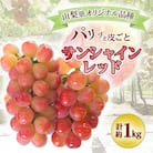 【2026年発送 先行受付】山梨県オリジナル新品種サンシャインレッド!【計1kg程度】