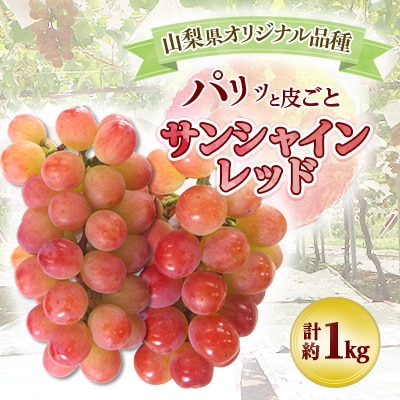【甘さと香りをお楽しみください!】山梨県オリジナル新品種サンシャインレッド!【計1kg程度】