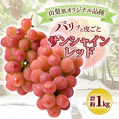 【2026年発送】山梨県オリジナル新品種サンシャインレッド!【計1kg程度】