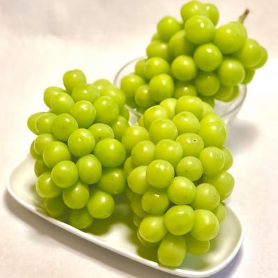 2026年先行受付【見た目は訳あり?味は満足!】農福連携シャインマスカット計1kg【ご家庭用】