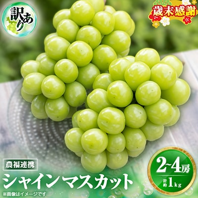 2026年先行受付【見た目は訳あり?味は満足!】農福連携シャインマスカット計1kg【ご家庭用】