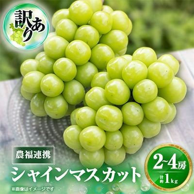 2026年先行受付【見た目は訳あり?味は満足!】農福連携シャインマスカット計1kg【ご家庭用】