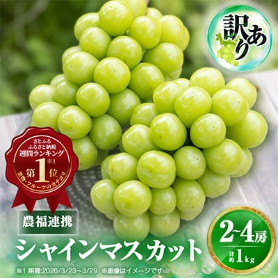2026年先行受付【見た目は訳あり?味は満足!】農福連携シャインマスカット計1kg【ご家庭用】