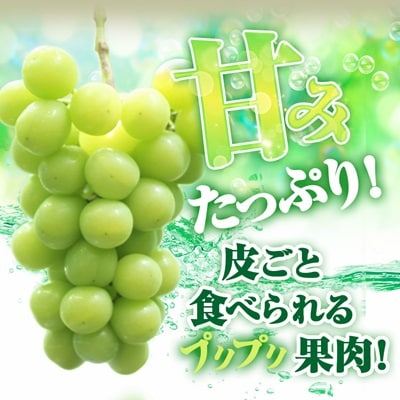 2026年先行受付【見た目は訳あり?味は満足!】農福連携シャインマスカット計1kg【ご家庭用】