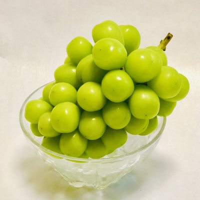 【2026年発送】サンシャインレッド&シャインマスカット 贅沢2色食べ比べ 計1kg 【農福連携】