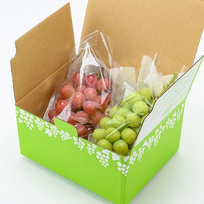 【2026年発送】サンシャインレッド&シャインマスカット 贅沢2色食べ比べ 計1kg 【農福連携】