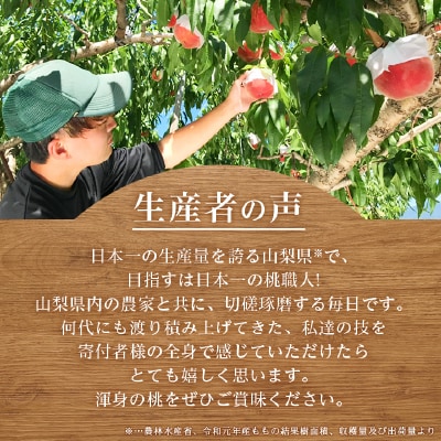 山梨県産 もも (白鳳系)1kg以上 3～5玉 熟練農家 厳選の旬の桃