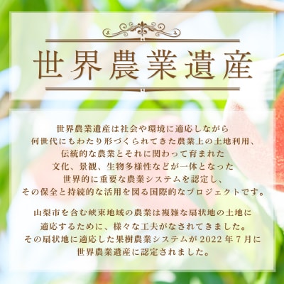 山梨県産もも(白桃系)2kg以上 5～8玉 熟練農家 厳選の旬の桃