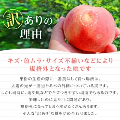 2027年発送 先行受付【訳あり】山梨もも2kg以上 5～8玉 熟練農家厳選の旬の桃 ご家庭用