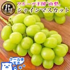 2026年発送 山梨県産 シャインマスカット 約1kg(2～3房) 山梨が誇る人気果物 熟練農家厳選