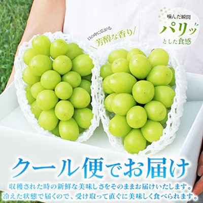 2027年発送 先行予約　山梨県産 シャインマスカット 約1kg(2～3房) 厳選果物