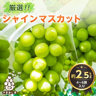 2026年発送 山梨県産 シャインマスカット 約2.5kg(4～6房) 山梨が誇る 人気果物
