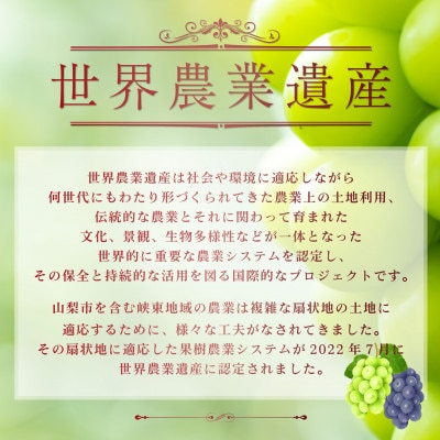 【2024年発送】山梨県産シャインマスカット1kg以上(バラ詰め)