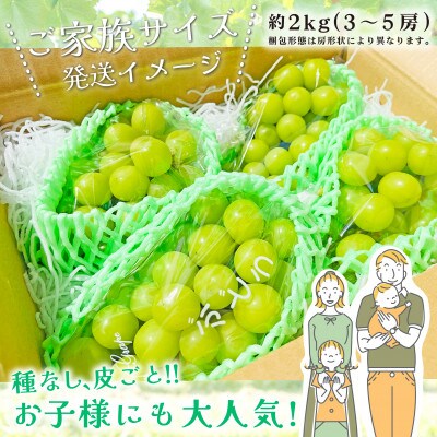 山梨県産シャインマスカット約2kg(3~5房)