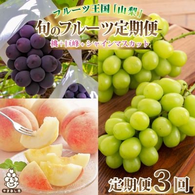 【発送月固定定期便】2025年発送 山梨フルーツ旬の果物 桃+種無し巨峰+シャインマスカット 全3回