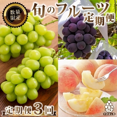 【発送月固定定期便】2026年発送 山梨 旬の果物 桃+種無し黒ぶどう+シャインマスカット 全3回