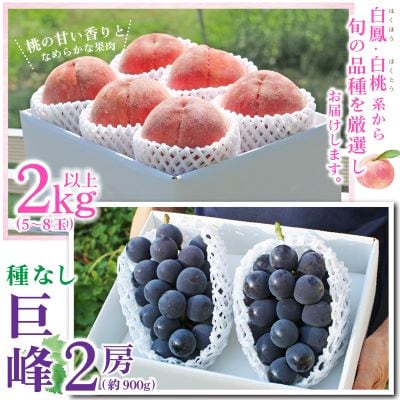 【発送月固定定期便】2025年発送 山梨フルーツ旬の果物 桃+種無し巨峰+シャインマスカット 全3回