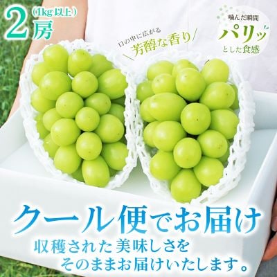 【発送月固定定期便】2025年発送 山梨フルーツ旬の果物 桃+種無し巨峰+シャインマスカット 全3回