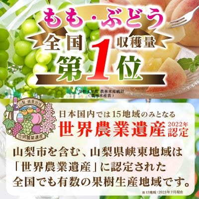 【発送月固定定期便】2025年発送 山梨フルーツ旬の果物 桃+種無し巨峰+シャインマスカット 全3回