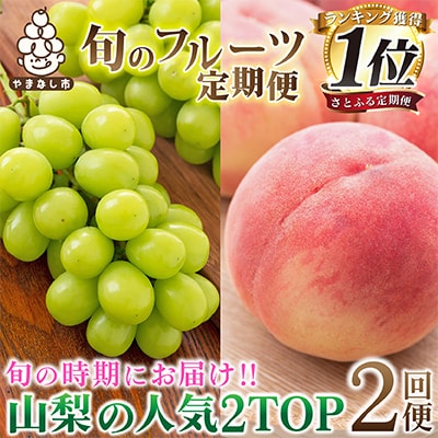 【発送月固定定期便】2026年発送 山梨フルーツ旬の果物 桃+シャインマスカット 全2回