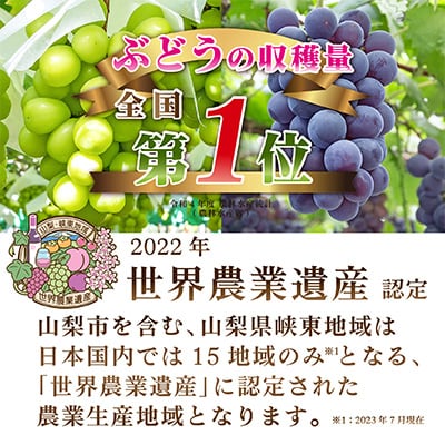 【発送月固定定期便】2025年発送 山梨フルーツ旬の果物 種無し巨峰+シャインマスカット 全2回