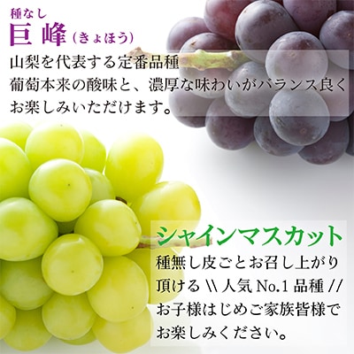 【発送月固定定期便】2025年発送 山梨フルーツ旬の果物 種無し巨峰+シャインマスカット 全2回
