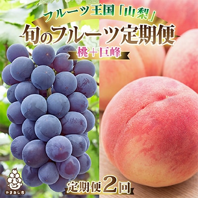 【発送月固定定期便】2025年発送 山梨フルーツ旬の果物 桃+種無し巨峰 全2回