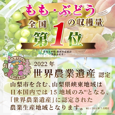 【発送月固定定期便】2025年発送 山梨フルーツ旬の果物 桃+種無し巨峰 全2回