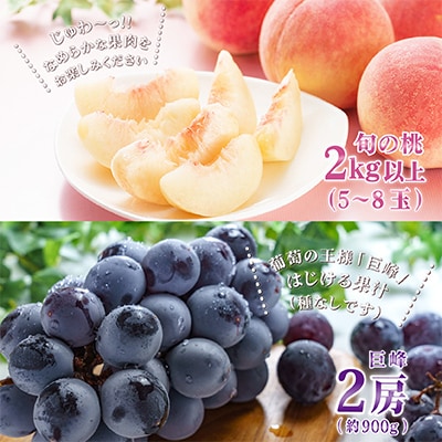 【発送月固定定期便】2025年発送 山梨フルーツ旬の果物 桃+種無し巨峰 全2回
