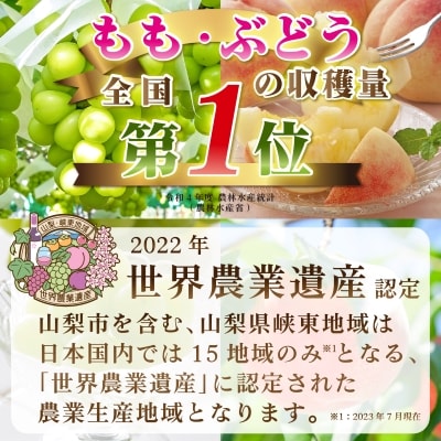 【発送月固定定期便】2026年発送 山梨フルーツ旬の果物 桃+シャインマスカット 全2回