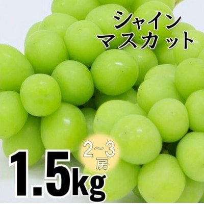 シャインマスカット 約1.5kg(2～3房)
