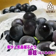 〈先行受付〉農家直送!ぶどう名産地≪山梨の厳選!藤稔≫　約1.2kg(2～4房) ふるさと納税 | ふるさと納税のお礼品