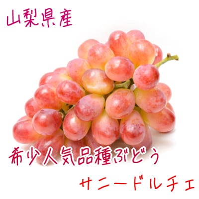 農家直送!ぶどう名産地≪山梨の厳選!サニードルチェ≫　約1.5kg(2～4房)