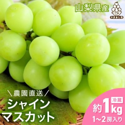 シャインマスカット 約1kg (1～2房) 農園直送 ! シャインマスカット