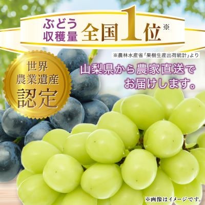 シャインマスカット 約1kg (1～2房) 農園直送 ! シャインマスカット