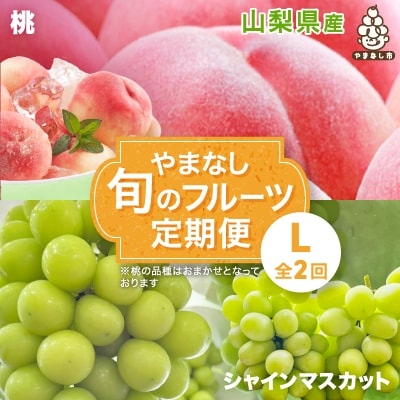 【発送月固定定期便】やまなし旬のフルーツ定期便(桃・シャインマスカット)【L】全2回