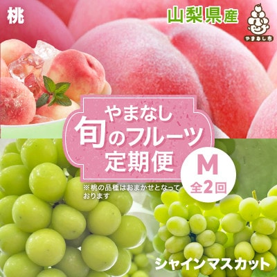 【発送月固定定期便】やまなし旬のフルーツ定期便(桃・シャインマスカット)【M】全2回