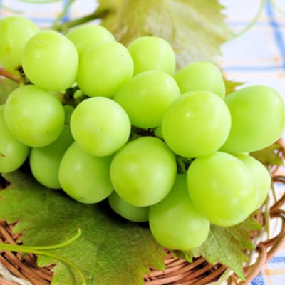 【発送月固定定期便】やまなし旬のフルーツ定期便(桃・シャインマスカット)【L】全2回