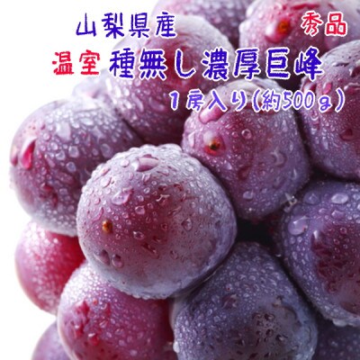 【季節を先取り】【大人気】山梨県産 厳選!温室種無し巨峰 秀品 1房(約500g)