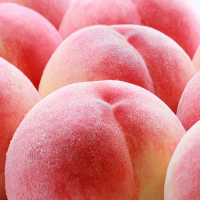 【夏の美味】　厳選!山梨の桃　4～6玉(約1.5kg入り)