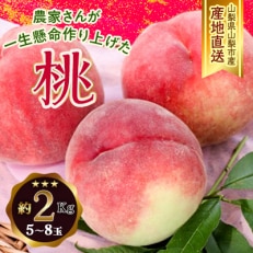 【ふるさと納税】 山梨県山梨市産 桃 約2kg(5～8玉)