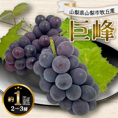 山梨県山梨市牧丘産 巨峰 約1.0Kg以上 2房