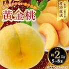 【ふるさと納税】山梨県山梨市産 黄桃 黄金桃 約2kg 5玉～8玉