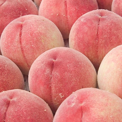 2026年発送 山梨市産 訳あり桃 約2kg(4～8玉)