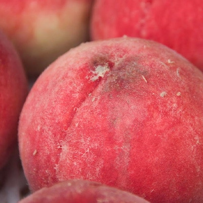 2026年発送 山梨市産 訳あり桃 約2kg(4～8玉)