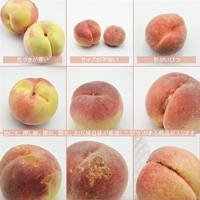 2026年発送 山梨市産 訳あり桃 約2kg(4～8玉)